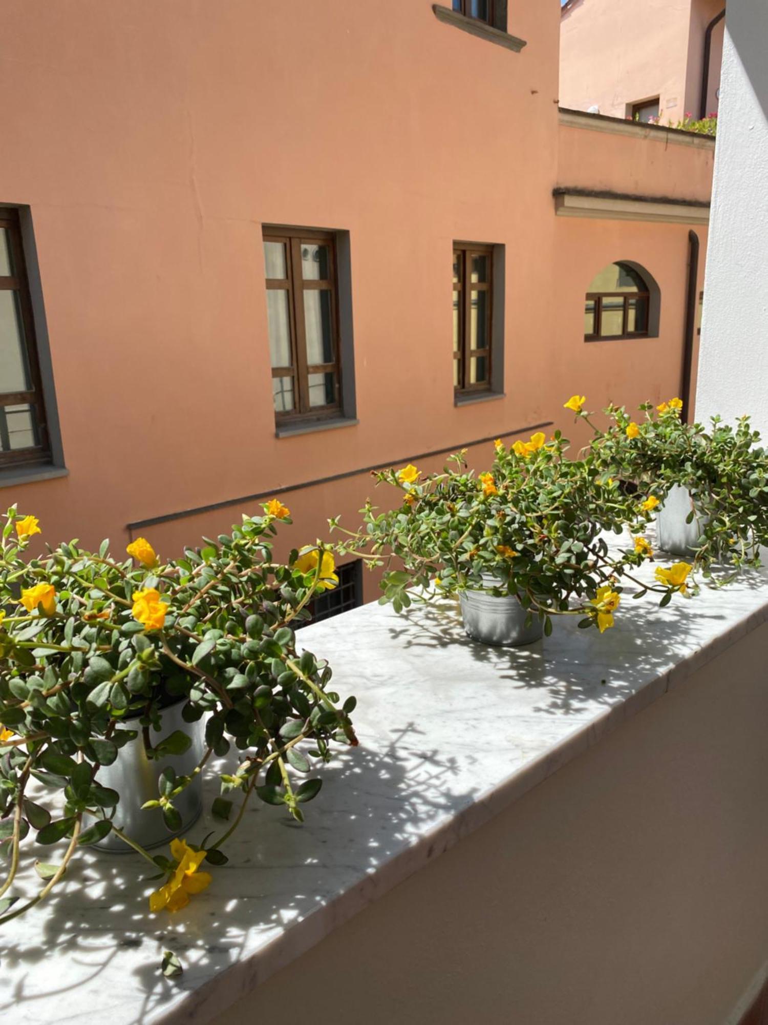 Blom Apartments Pisa Exterior photo